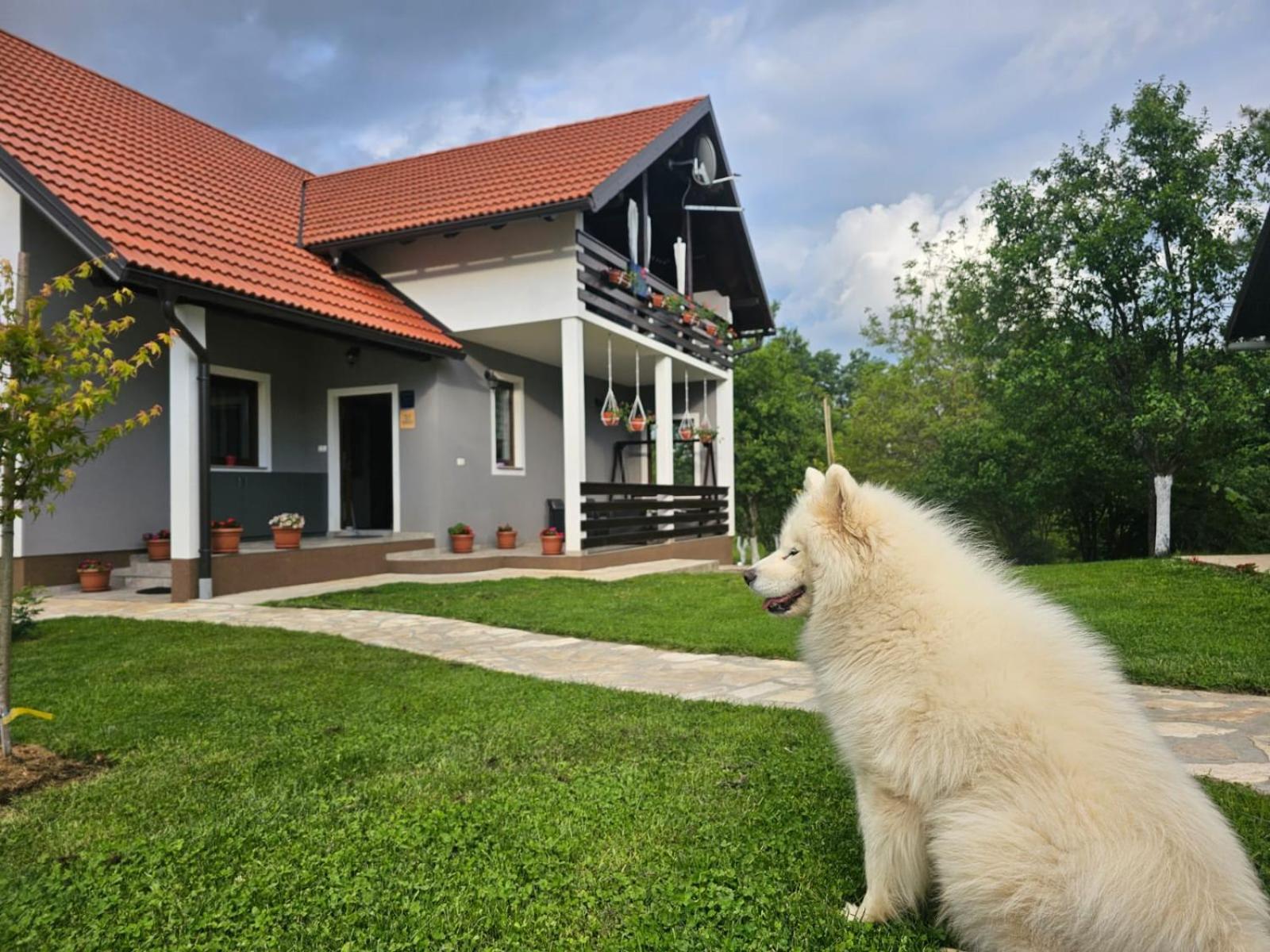 Deluxe Apartment With Jacuzzi - Patar Rakovica Exterior foto